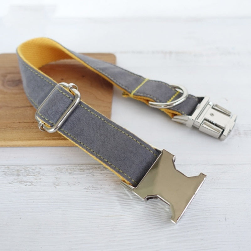 Retractable Dog Leash Collar