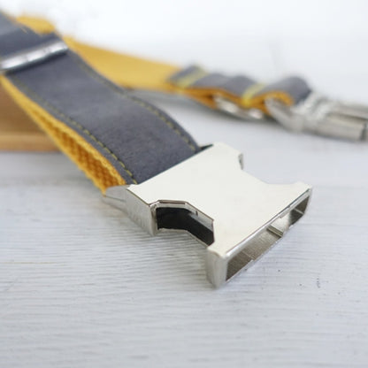 Retractable Dog Leash Collar