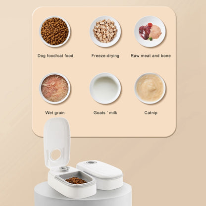 Automatic Smart Pet Feeder with Stainless Steel Bowl